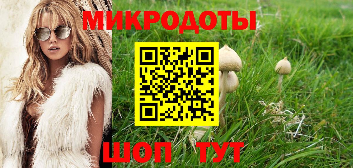 Псилоцибиновые грибы прущие грибы Чита